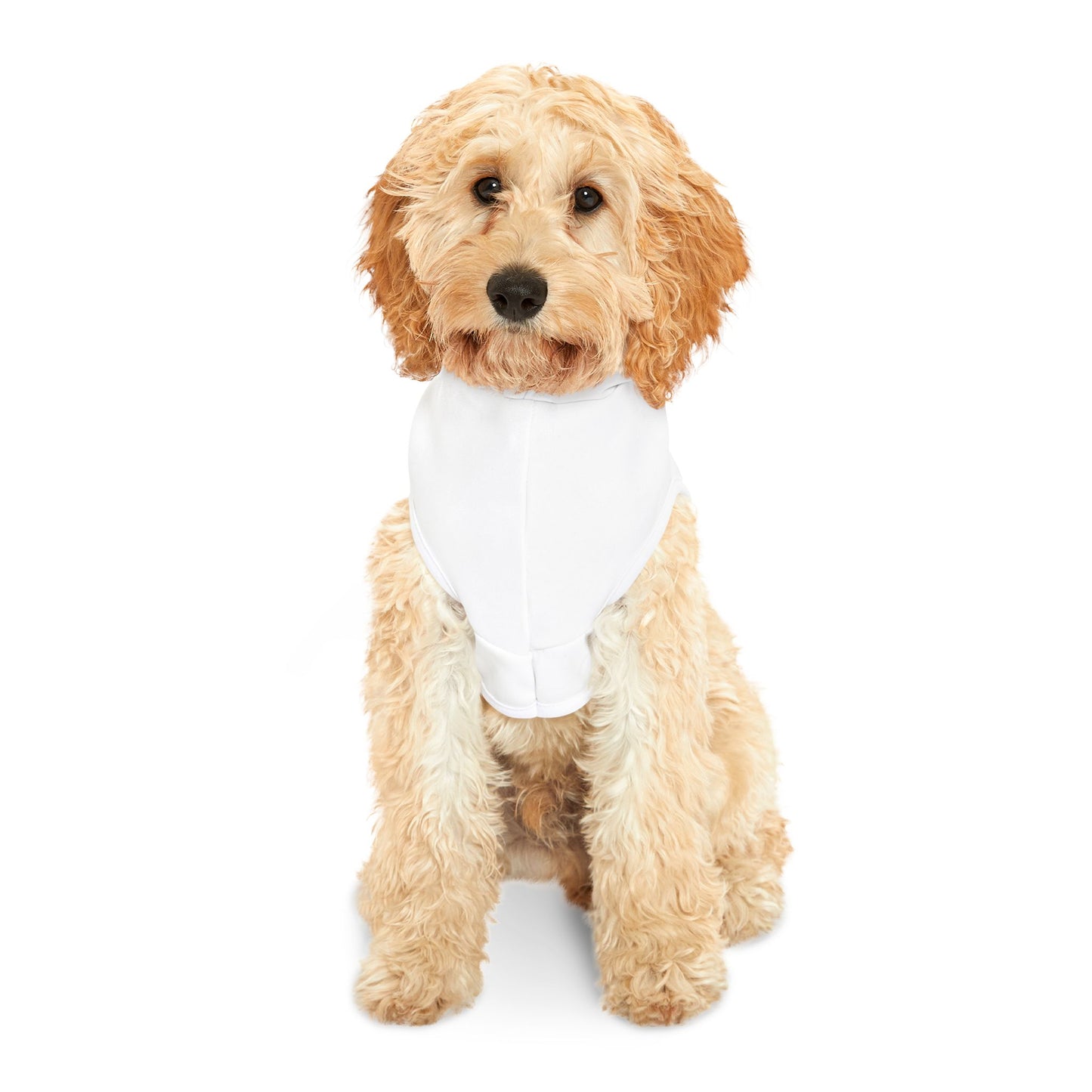 Holy Paws IV - Our furry angels/white/