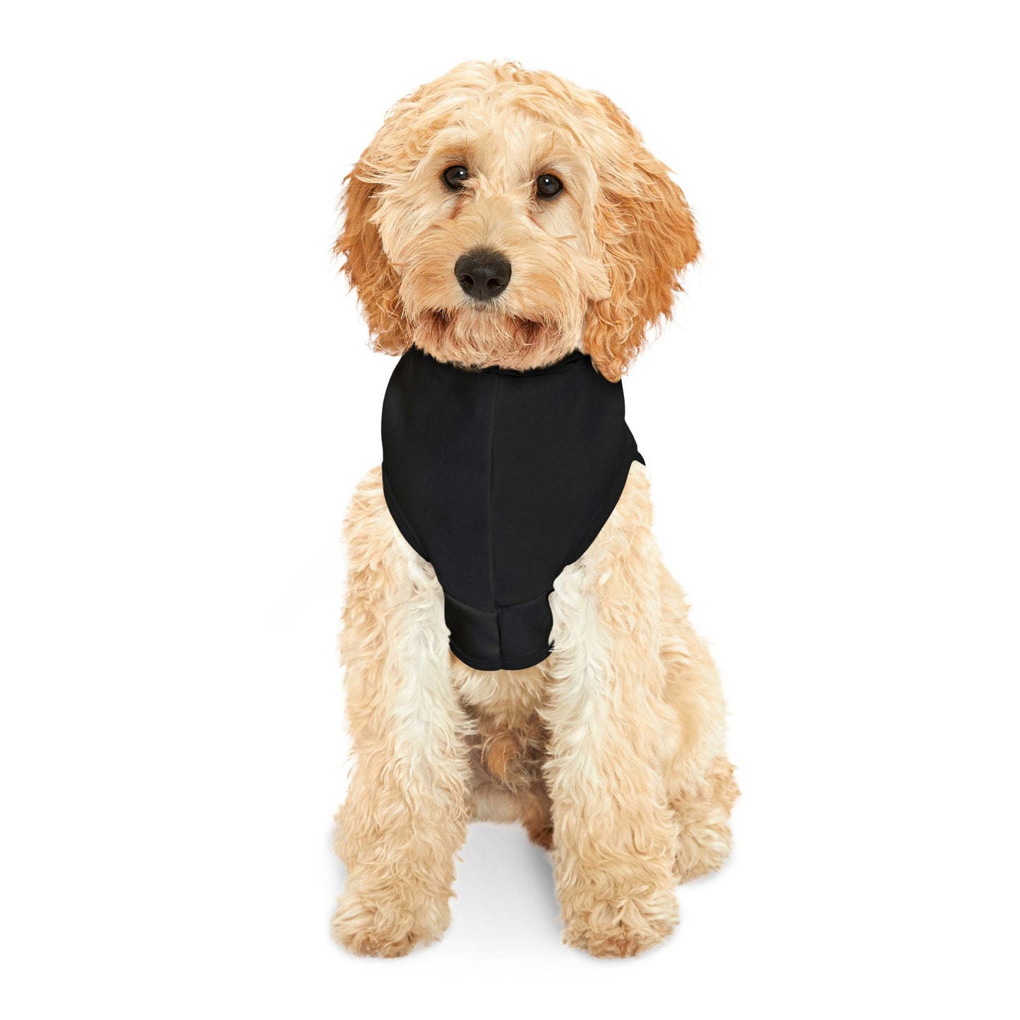 Holy Paws III - Our Furry Angels/black/