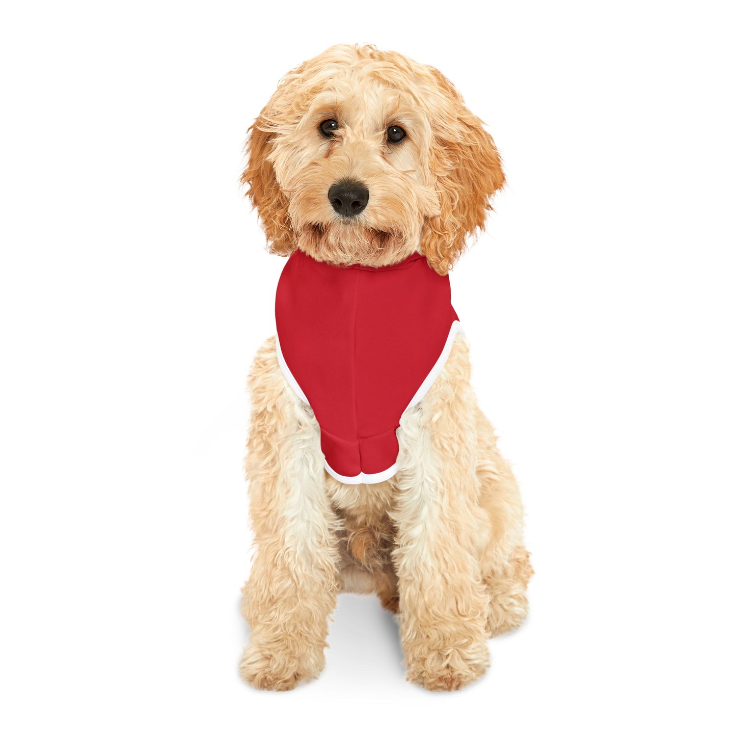 Holy Paws IX - Jesus Jersey